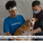 Veterinary Technology