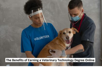 Veterinary Technology