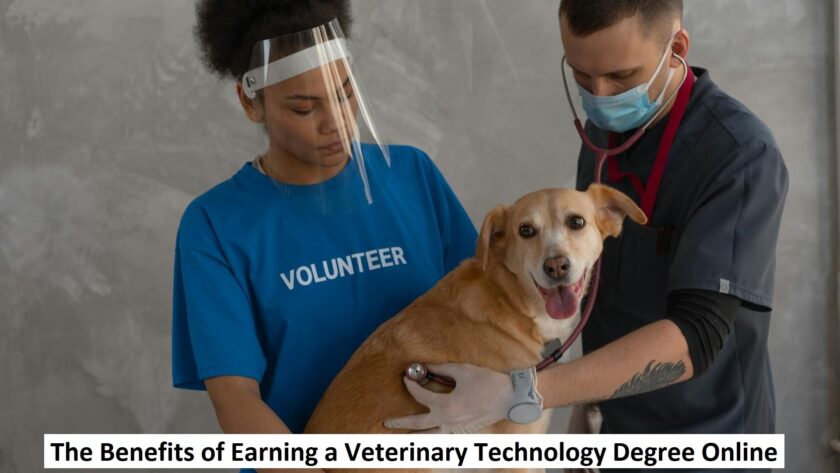 Veterinary Technology