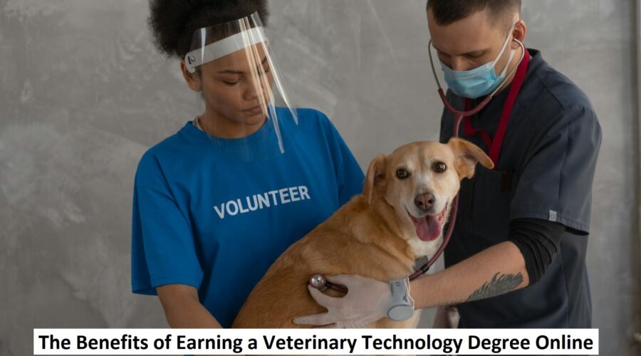 Veterinary Technology